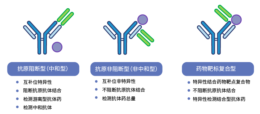 抗独特型抗体开发-pk/ada检测试剂盒开发-德泰生物