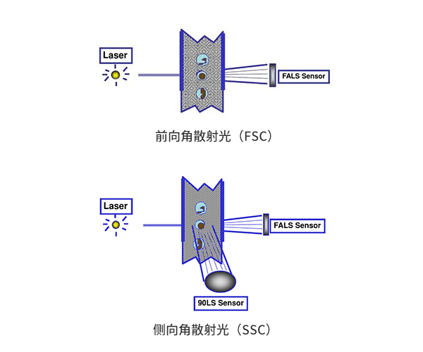 前向角散射（FSC）和侧向角散射（SSC）