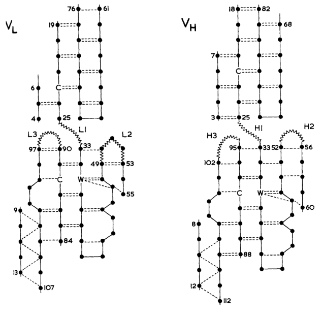 β-片层框架折叠方案