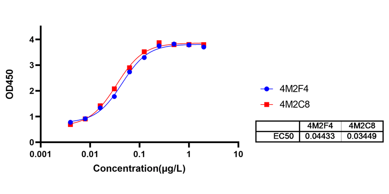 ELISA activity