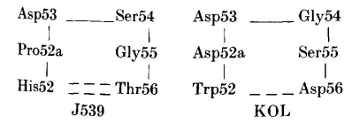 H2-four-residue-turn