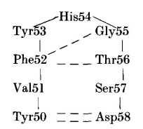 H2-seven-residue-turn