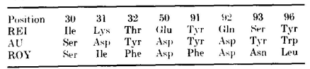 eight-changed-positions-in-hypervariable-regions